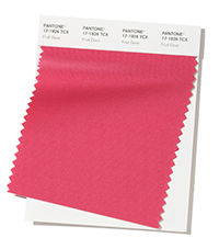 PANTONE 17-1926.jpg